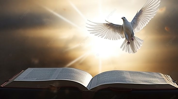 MODULO BIBLIA Y CATEQUESIS